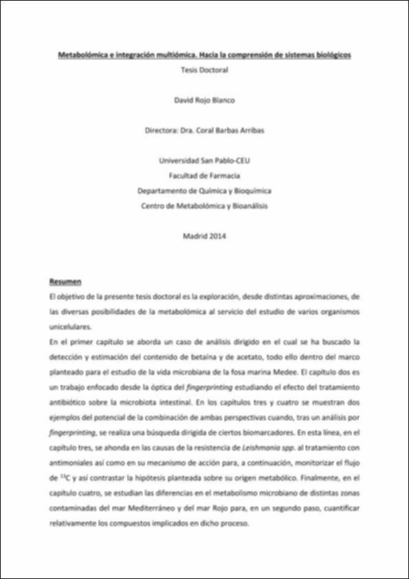 Resumen tesis_David Rojo.pdf.jpg