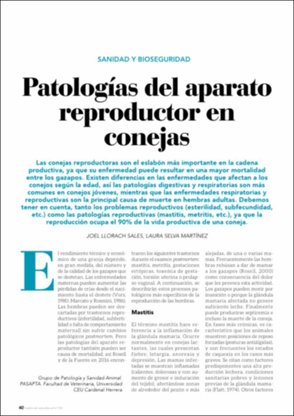 Patologias_Llorach_BDC_2020.pdf.jpg