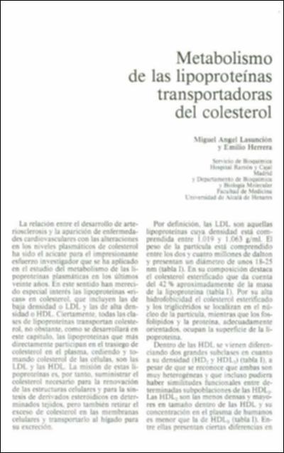 Metabolismo_Herrera&Lasuncion_1988.pdf.jpg