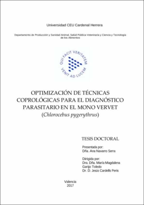 Optimizacion_Navarro_UCHCEU_Tesis_2017.pdf.jpg