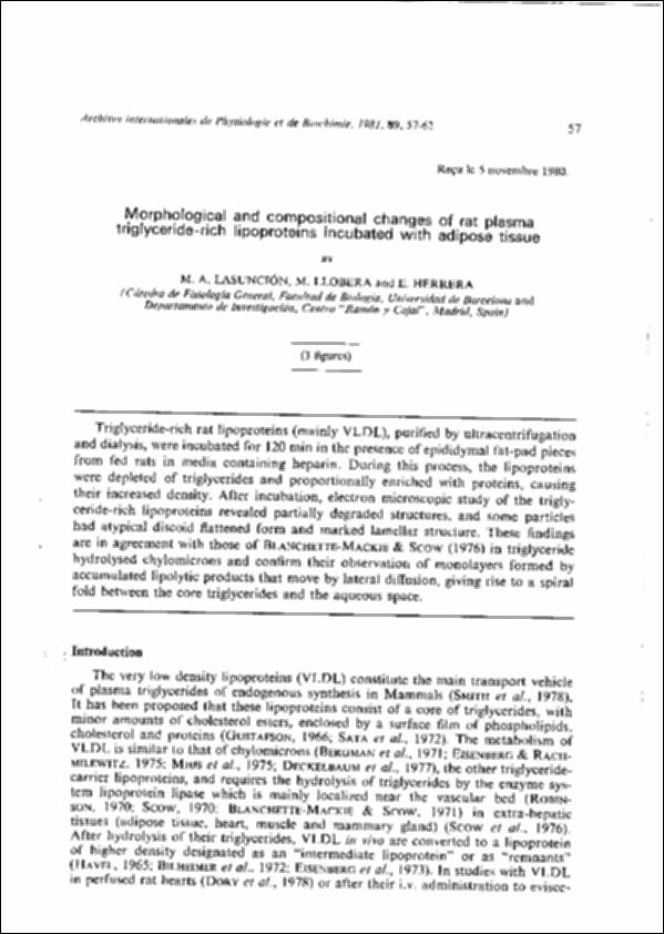 Morphological_MALasuncion&EHerrera&MLlobera_ArchIntPhy&Bio_1981.pdf.jpg