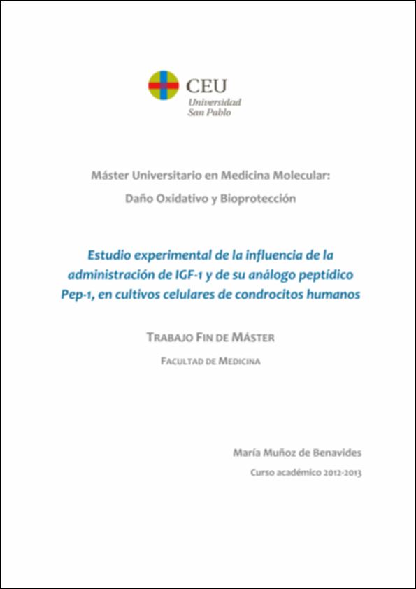 Estudio_MariaMuñozBenavides_TFM_2013.pdf.jpg