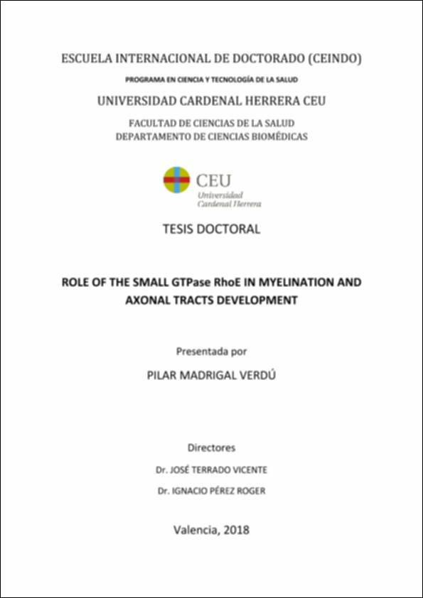 Role_Madrigal_UCHCEU_Tesis_2018_Índice, resumen y conclusiones.pdf.jpg
