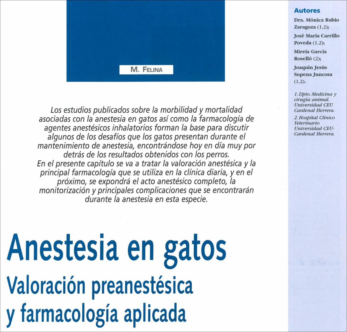 Anestesia_Rubio_CDV_2009.jpg.jpg